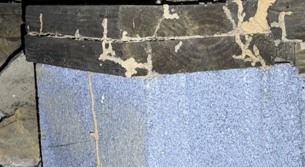 termite-damage-on-sill-beam-above-pier-800 Termite damage on a sill beam above a crawlspace pier.