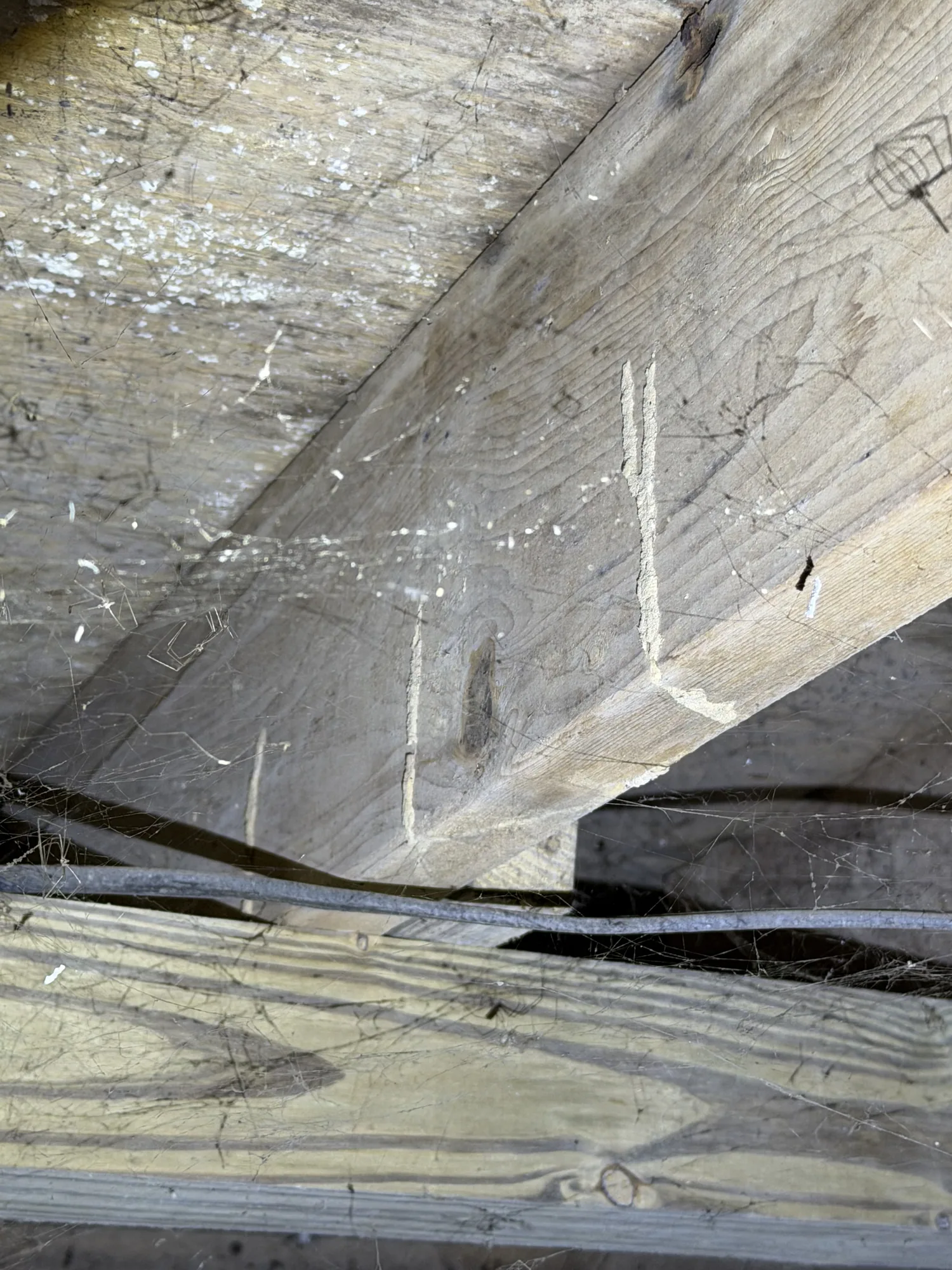 Crawl space floor framing during an inspection