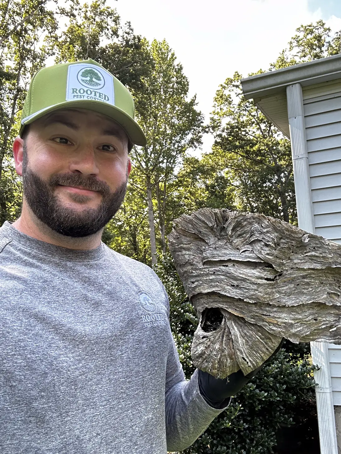 Rooted technician holding a removed hornet nest