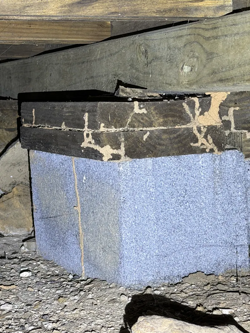 Termite damage on a sill beam above a crawl space pier