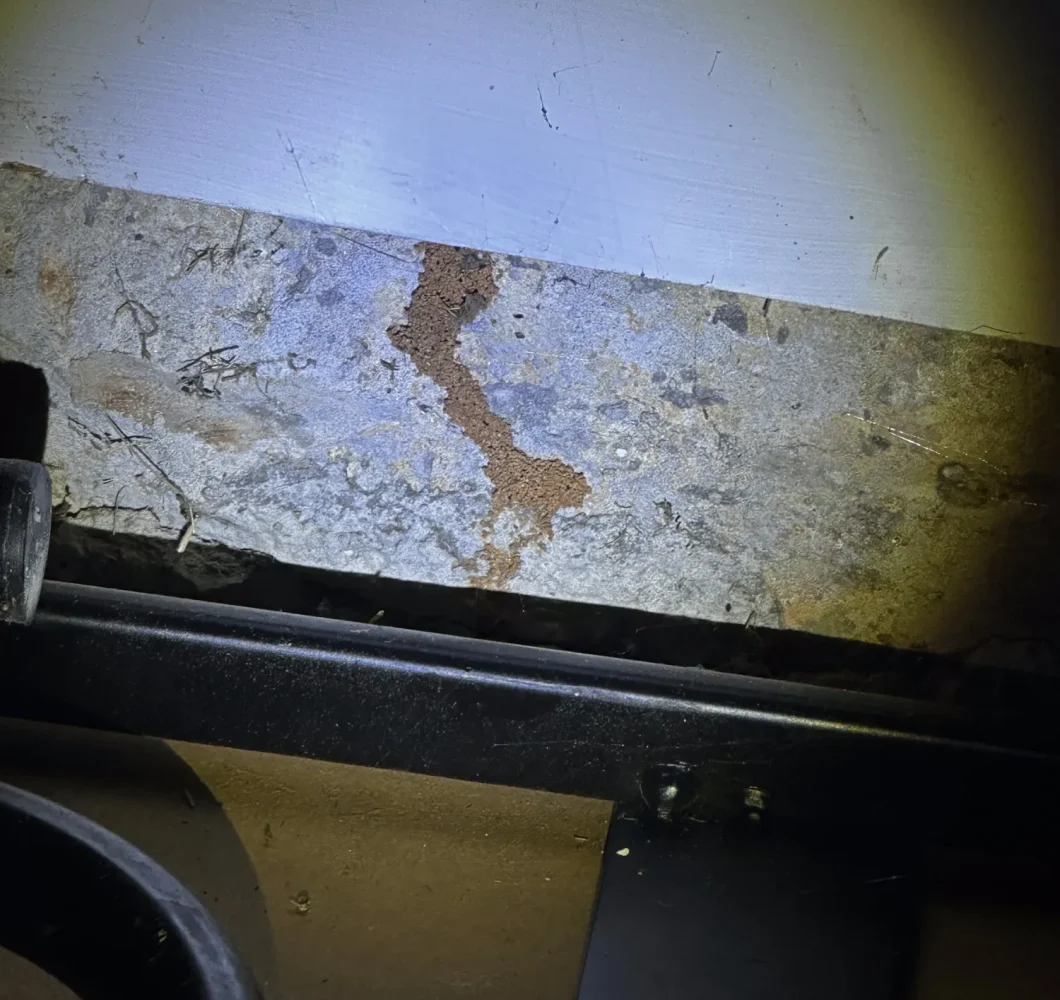 Termite mud tube on a foundation wall, found during a crawlspace inspection.